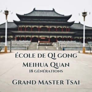 L'école de Qigong Meihua